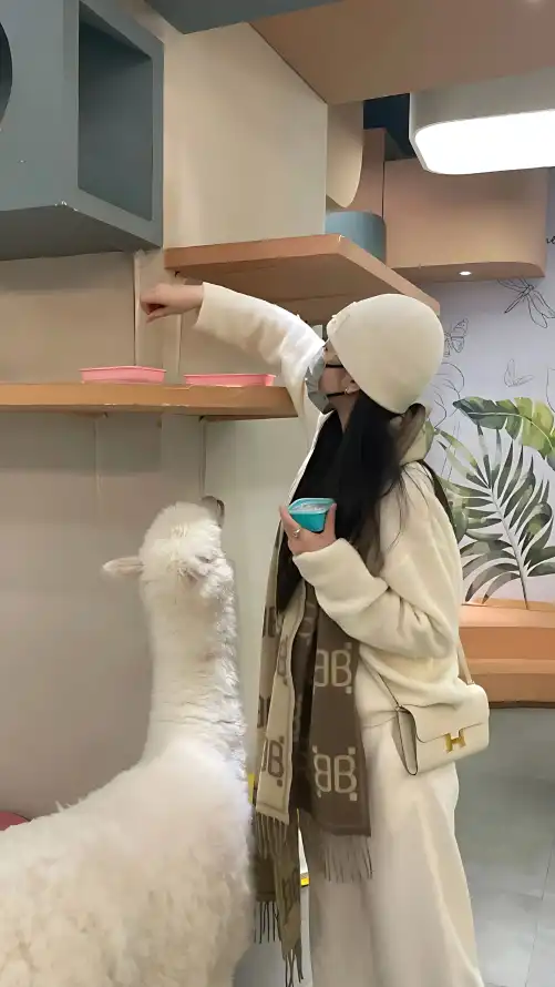 少妇人妻在线无码天堂视频网_自拍偷在线精品自拍偷_免费看黄入口污污18勿进